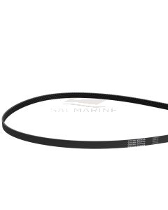DRIVE BELT - VP3889124