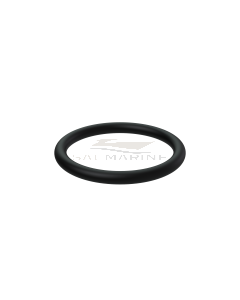 O-RING - VP976018
