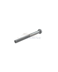 HEXAGON SCREW - VP191844