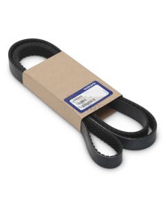 BELT - VP3860092