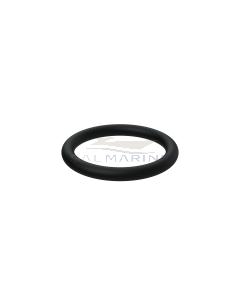 RUBBER RING - VP813967