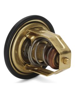 THERMOSTAT KIT - VP875791